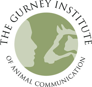 Carol Gurney - The Gurney Institute of Animal Communication - Animal Communication Workshop