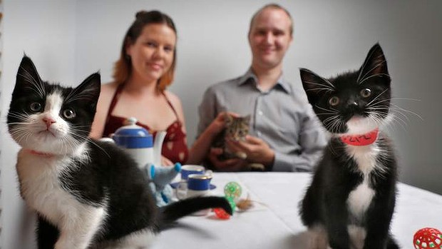 Cat Cafe Melbourne - Australia - Anita and Myles Loughran at The Lost Dogs' Home