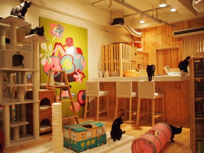 Cat Places - Cat Cafe Nekobiyaka - Black Cat Cm - Japan