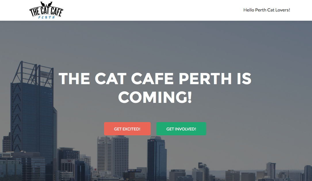 Cat Cafe Perth - Western Australia - opens soon