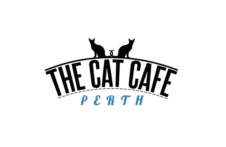 Cat Cafe Perth - Western Australia - opens soon