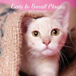 Cat Calendar 2015 - Cats in Small Places