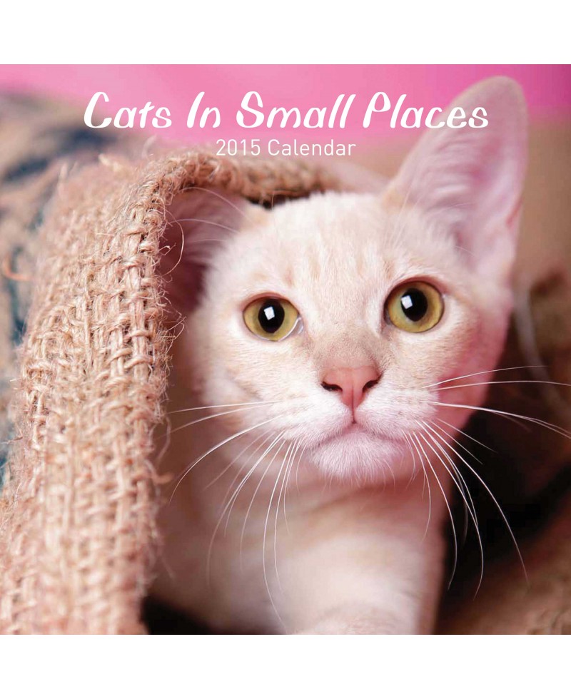 Cat Calendar 2015 - Cats in Small Places