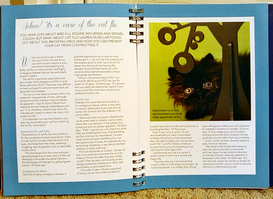 2015 Cat Calendars And Cat Diaries From Paper Pocket