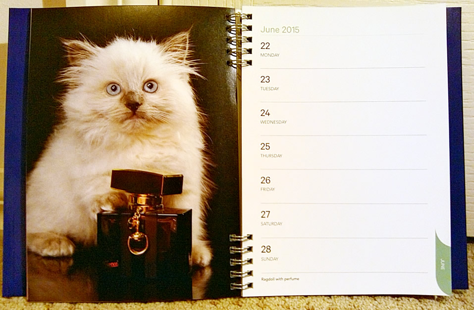 2015 Cat Calendars And Cat Diaries From Paper Pocket