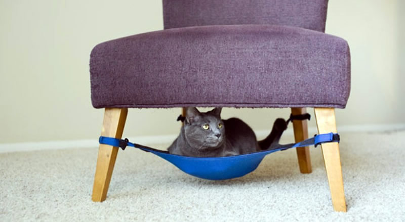 Cat Crib, a Space-Saving Hammock - Where Your Cat Would Hang Out