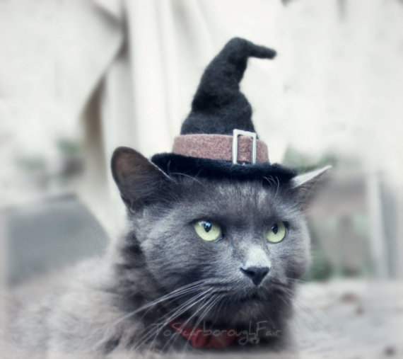 Cat Halloween Costume - Hissy Witch Cat Hat