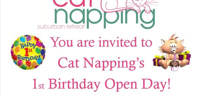 Cat Napping Suburban Retreat - Open Day