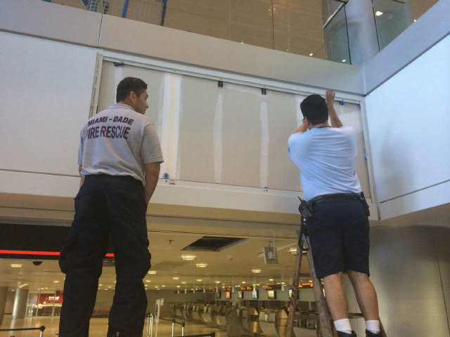 Amazing rescue: Grey and white kittens stuck in a ceiling at Miami International Airport and rescued by firefighters