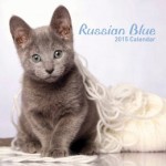 Cat calendar 2015 - Russian Blue Calendar