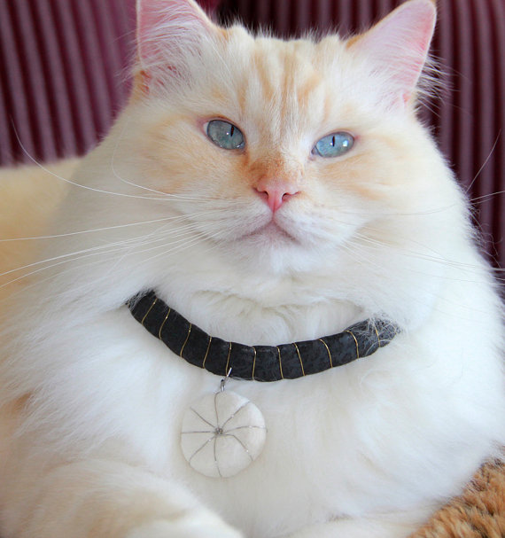 Cat hair fur handbag, necklace, pendant, earring, accessories