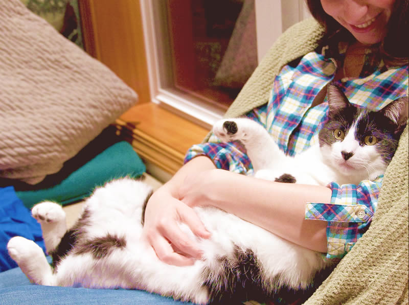 Cat mum with black and white cat fur kid