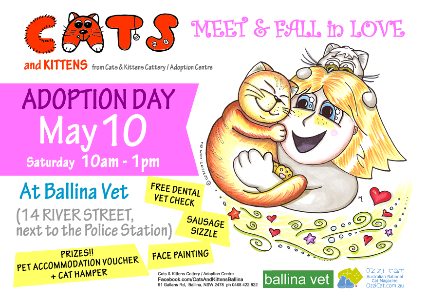 Poster for Adoption Day Event - Adopt / Buy a Cat - Cats And Kittens Ballina