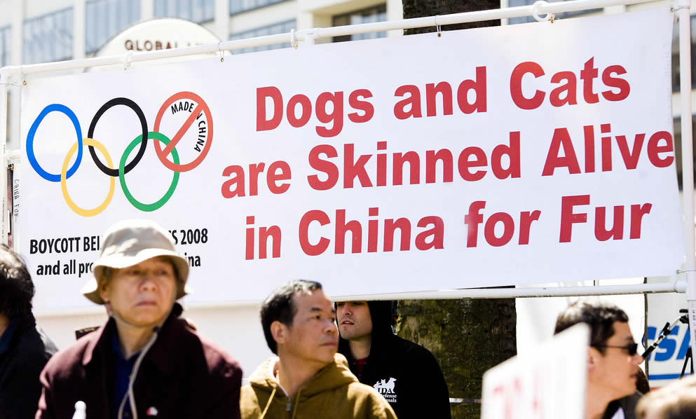 China animal welfare - cats skinned alive for fur - protest