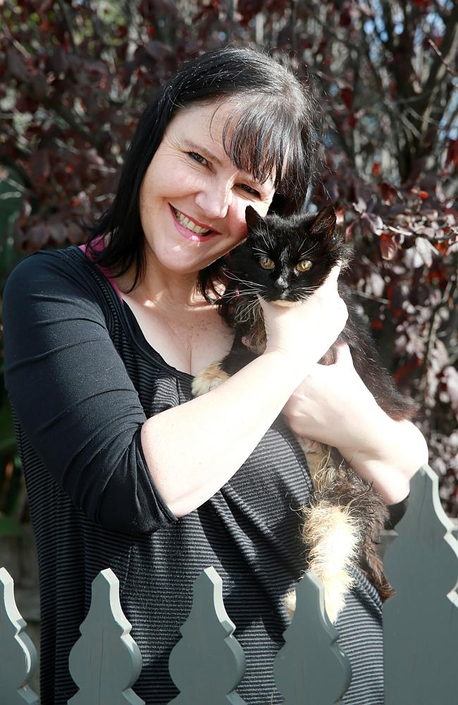 Unbelievable: Geelong Cat Returns Home After 13 Years Missing | Australian National Cat Magazine - Ozzi Cat | Cat Health, Cat Care, Cat Stories, Cat Rescue in Australia