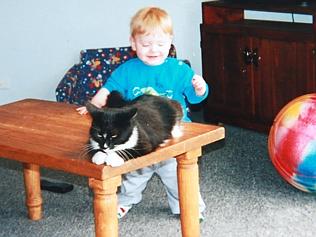 Black-and-white Geelong cat Shelby in 1999