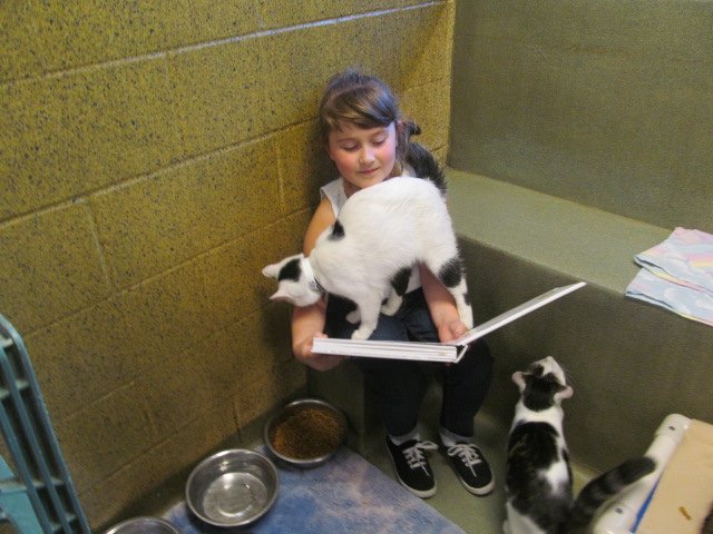 How to Teach Kids Love Animals - Kids Read to Shelter Cats