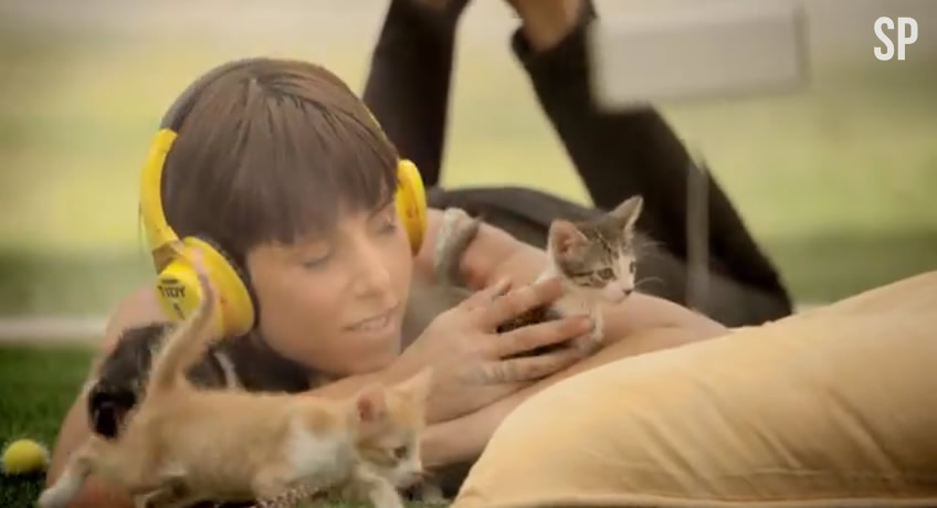 Kitten Therapy - SoulPancake - Tidy Cats - Purina