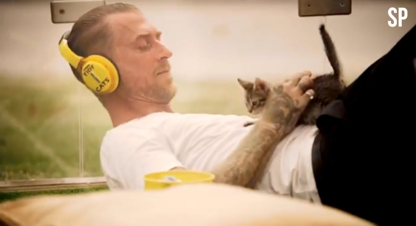 Kitten Therapy - SoulPancake - Tidy Cats - Purina