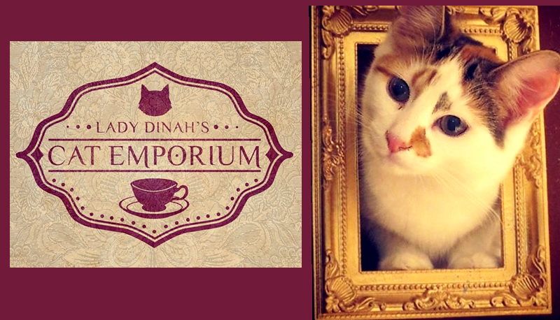 Lady Dinah's Cat Emporium London Cat Cafe, UK
