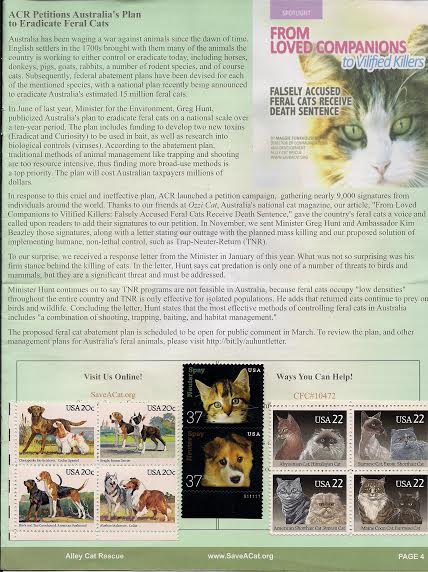 Ozzi Cat Magazine mentioned in Alley Cat Rescue magazine