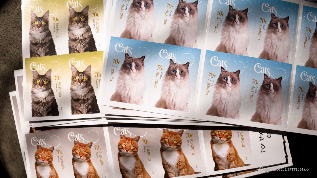 Cats - Stamps - Australia Post Collection