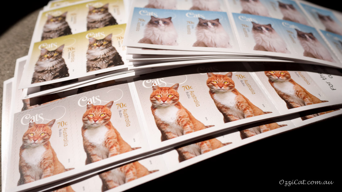 Cats - Stamps - Australia Post Collection