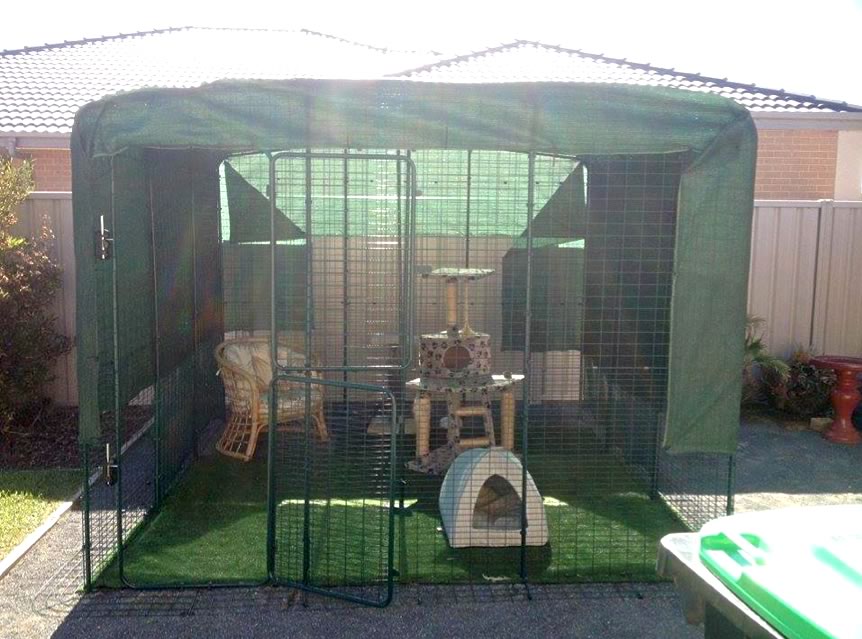 Ozzi Cat Magazine Contributor - Omlet Australia - stylish designer cat enclosures