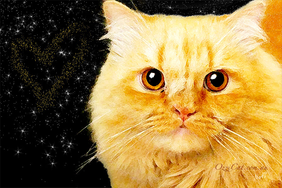 Cat Drawing - Picture of Orange Ginger Cat - Cat Lover's Pick - Featured in Australian National Cat Magazine Ozzi Cat