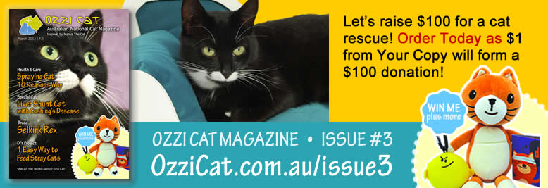 Australian Cat Magazine - Ozzi Cat Magazine - Issue 3 - order