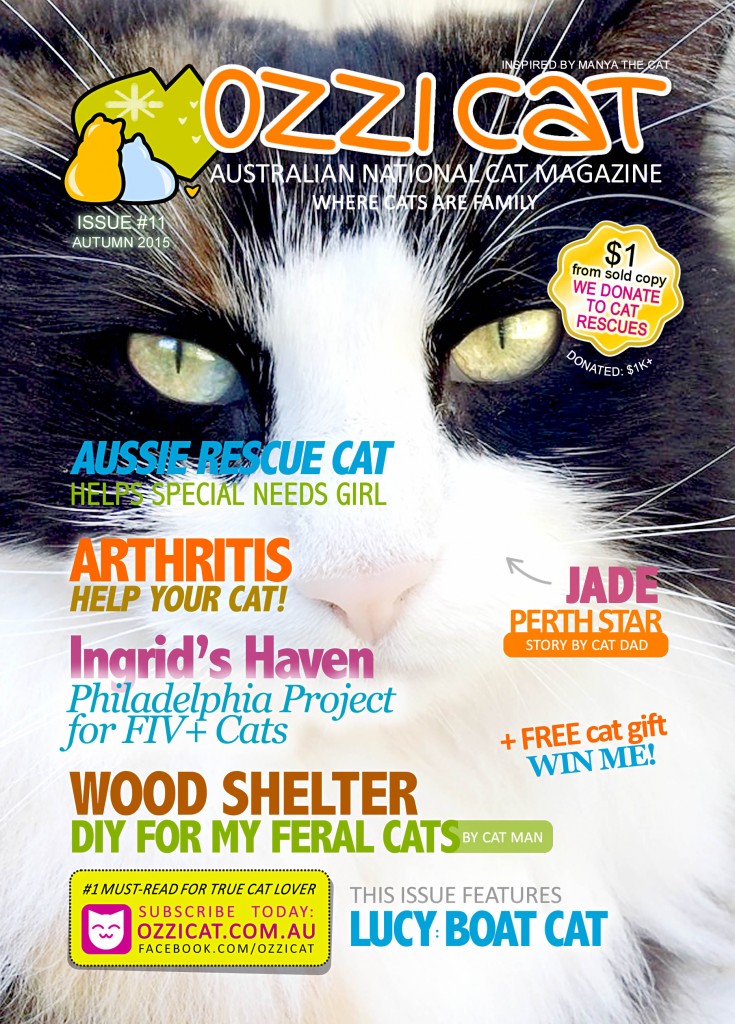Ozzi Cat Magazine - Issue #11 - Australian National Cat Magazine - #1 Must-Read For Caring Cat Owners & Cat Lovers