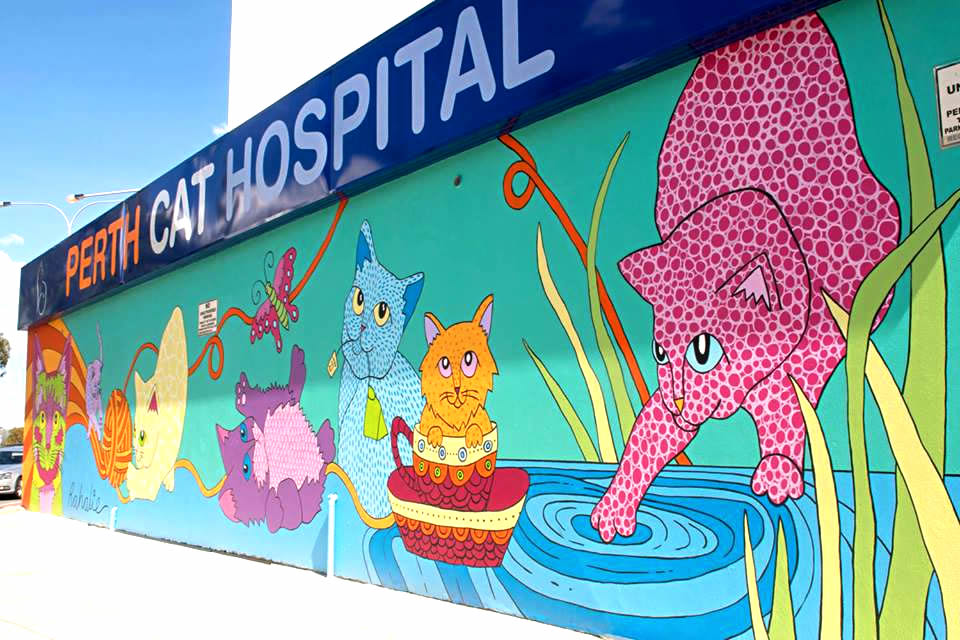 Perth Cat Hospital - Cats - Mural - Rahalie - The Velveteen Rabbit Art - WA Australia