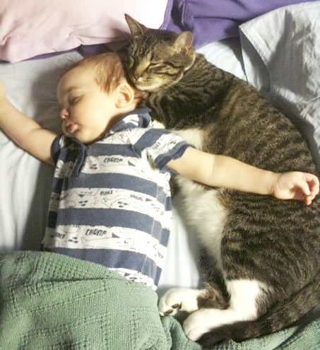 Baby and Cat Sleeping Together