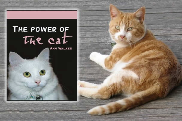 Cat Book: The Power of the Cat by Ann Walker