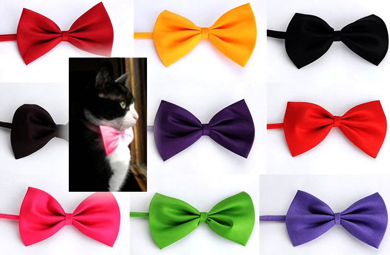 Cute Cat Bow and Tie Collars - Cat Lover's Pick - Featured in Australian National Cat Magazine Ozzi Cat