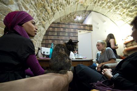 Cat lovers enjoy a beverage and a cat on a sofa at the "Cafe des Chats" - a cat cafe in Paris.