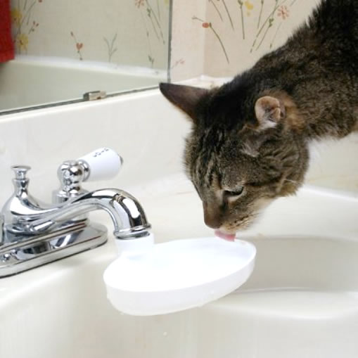 cat drinking water fountain - tap - sink bowl - Sink Drink - Turns a Faucet Into a Fountain for Your Cat