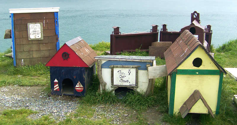 Cat houses on a beach in Oregon