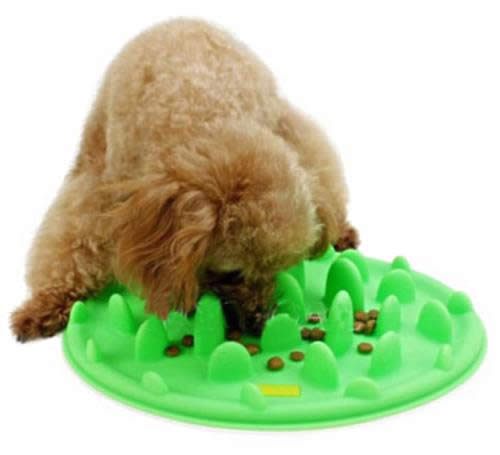 Silicone Slow Eating Feeder - Cat slow puzzle feeder - food dispenser - treat toy