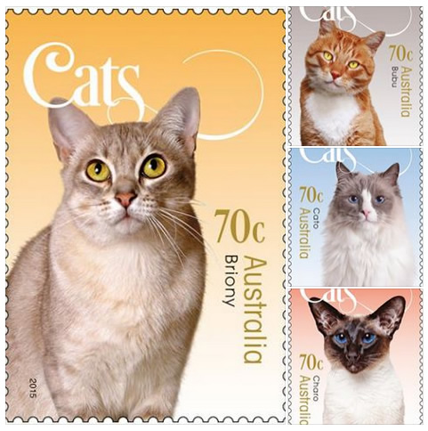 Cat stamp collection - Australia Post - Animal Eyes Photography