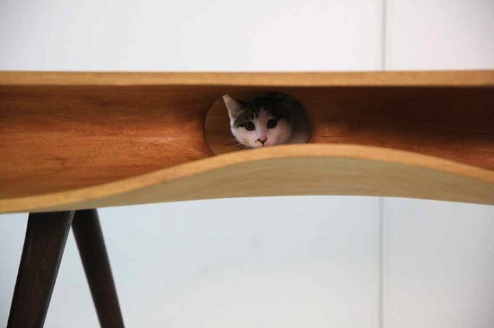 CATable - Cat Table - Cat-Friendly furniture designed for cats and cat owners