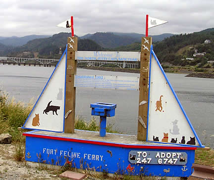 Gold Beach - cat houses