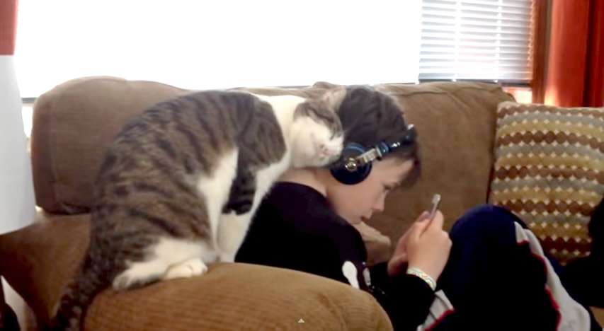 Cat showing affection to 2024 humans