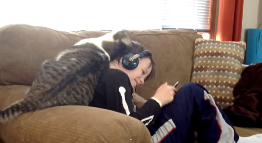 Cat Rubs Against His Human Showing Love and Affection - How cats say I love you