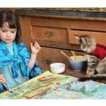 Maine Coon Kitten - Cat Thula Helps Autistic Child