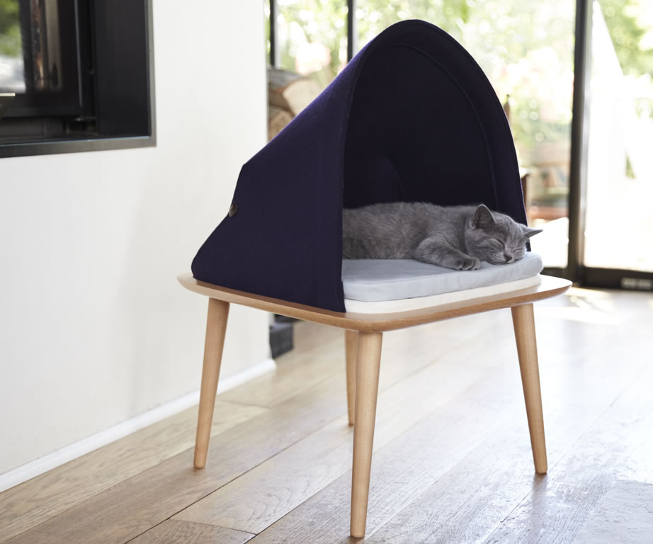 cat bed australia