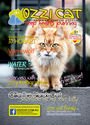 Ozzi Cat - Australian National Cat Magazine - Issue 7 - Autumn 2014