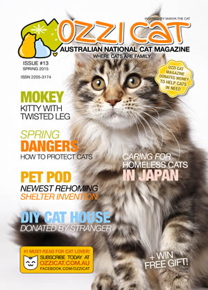 Ozzi Cat - Australian National Cat Magazine - Issue 13 - Spring 2015