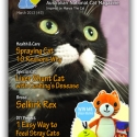 Ozzi Cat Magazine Issue #3 (Printed Copy)