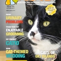 Ozzi Cat Magazine Issue #19 (Printed Copy)